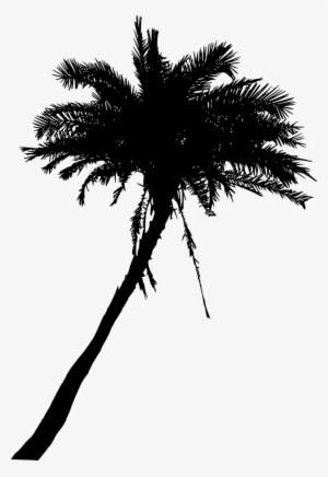 Png File Size - 2 Palm Trees Silhouette