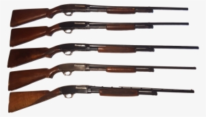Winchester Shot Guns - Rifle