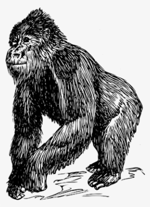 Gorilla Svg Clip Arts 432 X 597 Px