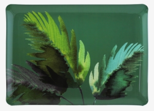 Acrylic Serving Tray- Small - Gien Jardins Extraordinaires Small Acrylic Tray