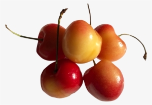 Rainier Cherry