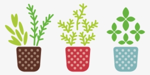 Free Image On Pixabay - Herb Png