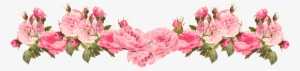 Pink Rose Clipart Rose Border 20 - Vintage Flower Border Png