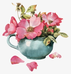 Kuvahaun Tulos Haulle Marjolein Bastin Kalenteri