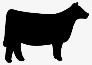 Cow Clipart Heifer - Show Heifer Clip Art