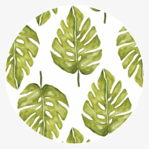 Freetoedit Overlay Watercolor Colorful Summer Sticker - Gambel Oak