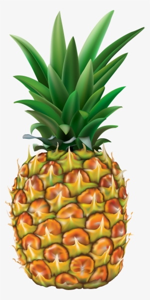 Png Clip Art Image Gallery Yopriceville View - Fruit Tropical