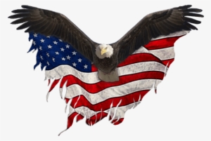 Usa Eagle Png Clip Library Download - Eagle United States Png