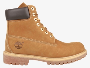 Timberland Logo - 800x800 PNG Download - PNGkit