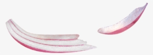 Onion - Bangle