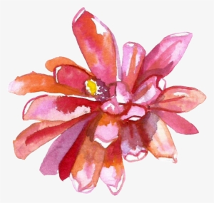 Red Watercolor Hand-painted Flowers Transparent - Watercolor Painting