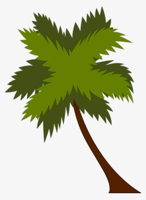 Coconut Tree Drawing Clipart Palm Trees Coconut Drawing - 900x800 PNG ...