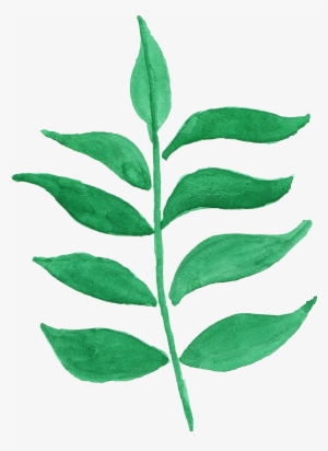 12 Watercolor Leaf Vol - Green Flowers Transparent Watercolor