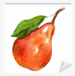 Watercolor Birne