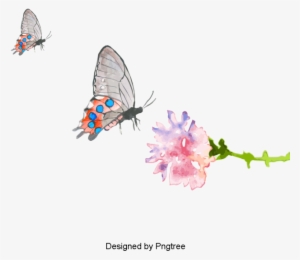 Cartoon Hand-painted Butterfly Pattern Design, Cartoons, - Cartoon