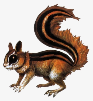 Squirrel - Parasite Eve Frog