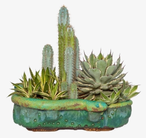 Cactus Png - Cactus Planters Png
