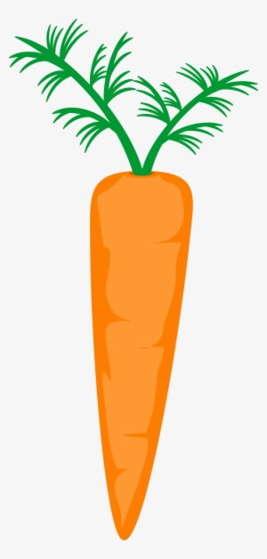 Carrot - Clip Art