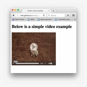 A Simple Video Player Showing A Video Of A Small White - Video