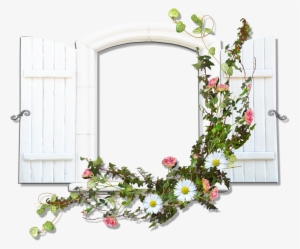 Window With Flowers Png