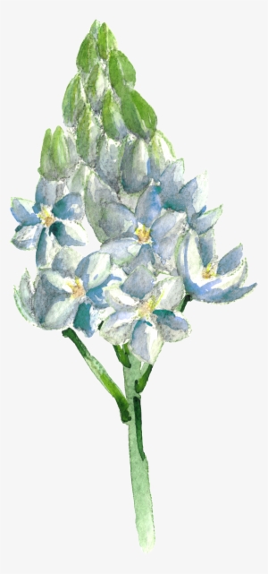 This Graphics Is Hand Painted Blue Flowers Transparent - Portable Network Graphics