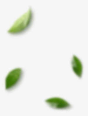 Leaves - Cosmetics