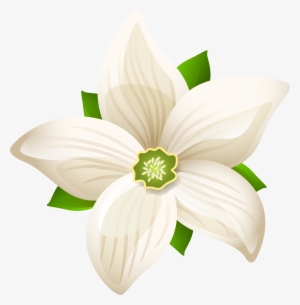 Large White Flower Transparent Png Clip Art Image