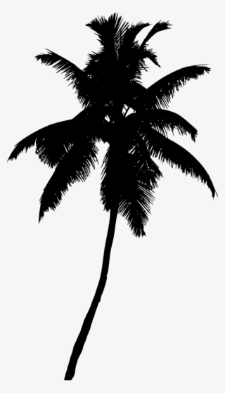Free Png Palm Tree Silhouette Png Images Transparent - Palma De Cera Vector