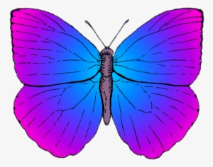 Butterfly Top Psf Artistic License - Cartoon Butterflies