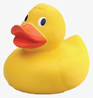 Rubber Duck Transparent Png