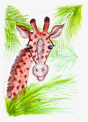 Hand Drawing A Watercolor Of A Giraffe - Drawing