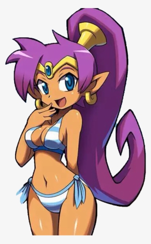 Bikini Outfit - Shantae In A Bikini