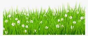 Grass With Flower Background Png - Grass Clipart Transparent