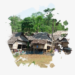 In Rural Areas, Healthcare Providers Include Asha Workers, - Rural Area