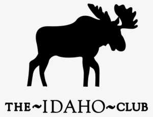 The 2017 Iepga Oakley Chapter Championship Is In The - Elk