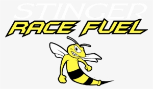 Stinger Race Fuel - Fuel