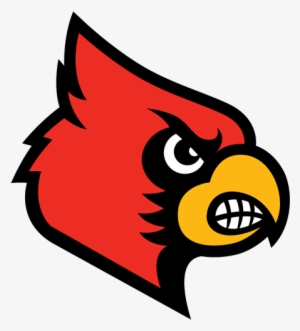 Louisville Cardinals