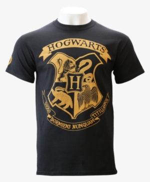 Hogwarts Flock T-shirt - Primark Harry Potter T Shirt