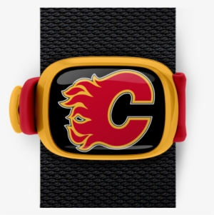Calgary Flames Stwrap - Fanmats Nhl Calgary Flames Roundel Mat