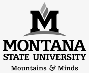 Core Logo With Mountains & Minds Tagline - Montana State University Logo .png
