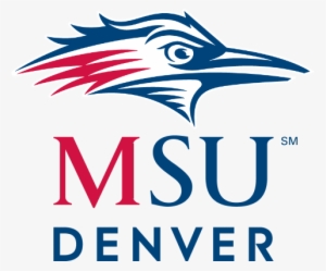 Observation Coaches - Metro State University Denver