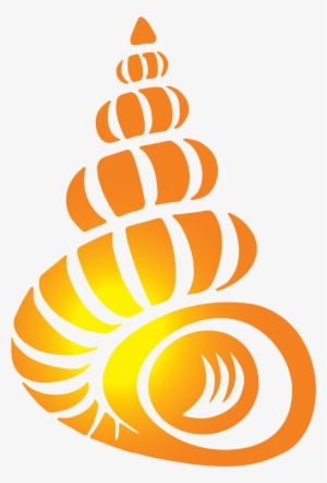 Bailey Matthews National Shell Museum - Bailey Matthews National Shell Museum Sanibel