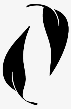 Cocacola Logo Vector