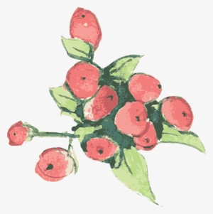 Pin By Nadia On Illustrations - Garden Roses