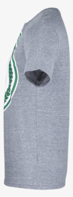 17 Sl Vintage Logo Tri-blend Tee Gry - Sweater