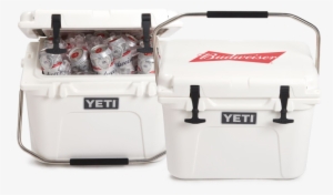 Yeti Roadie 20