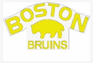 Report - Boston Bruins