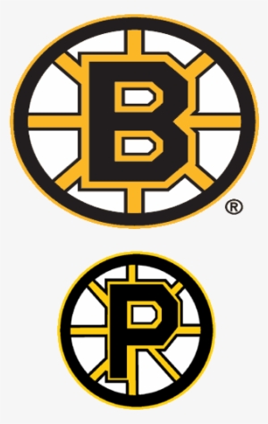 Tim - Boston Bruins And Providence Bruins