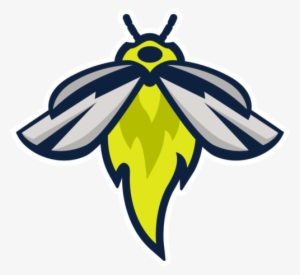 Columbia Fireflies - Fireflies Baseball Logo