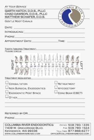 Image Result For Referral Endodontics - Endodontics